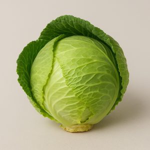 cabbage1
